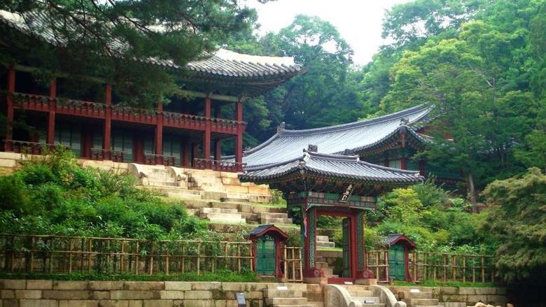 Temple surrounded by trees and bushes in South Korea